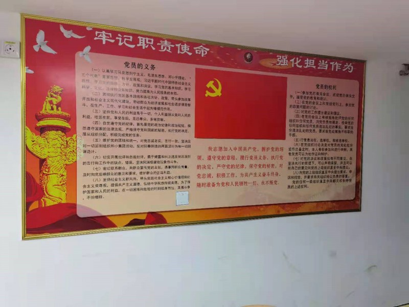 2020年度黨支部工作總結2