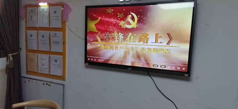 2020年度黨支部工作總結5